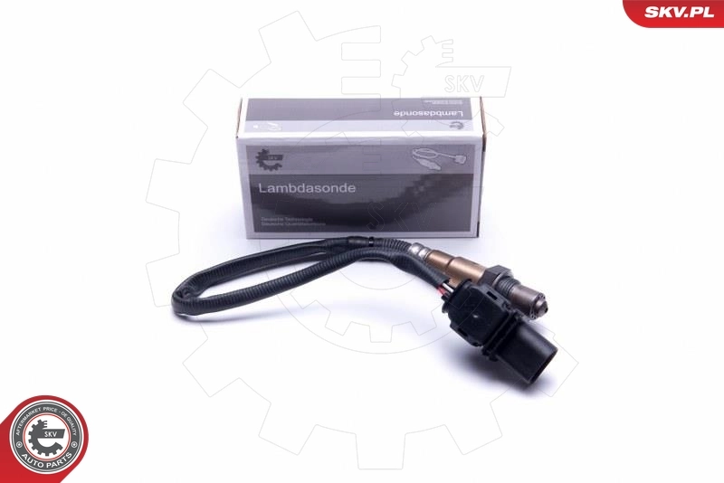 Oxygen Sensor